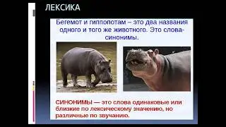 Онлайн урок по русскому языку №1 - Синтаксические синонимы