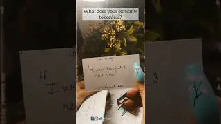 #tarot #guidance #tarotreading #advice #tarotreader #witchtok #trending #viral #fyp #yt #ytshorts