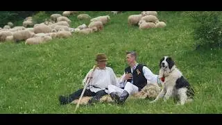 Ionut Nemes - Eu de mic de cand ma stiu 🐑 (Official Video) 🇷🇴