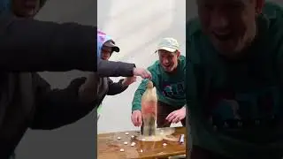 Chaos m8