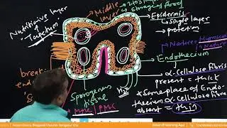 Sexual reproduction of flowering plants | Lecture -03 Class - NEET TARGET English