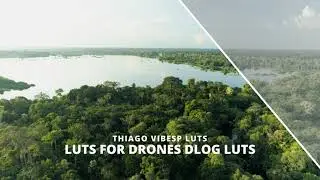 Film Tones Drone LUTs – Dji Drones Dlog Videos