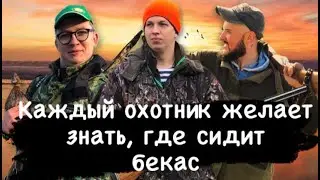 Охота на бекаса. Искали утку, нашли бекаса.