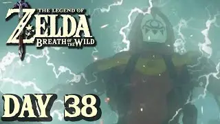 Starting A New Chapter - Breath of the Wild | DAY 38