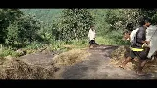araku  ట్రైబల్ విలేజ్ అందాలు | Bhairava వాటర్ ఫాల్స్ full video ©| cj Telugu