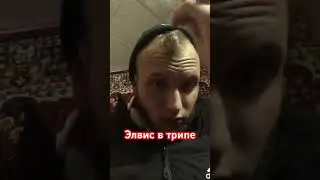 Тусовка и ковёр #видео