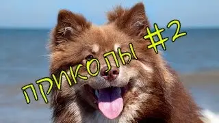 Лучше приколы #2