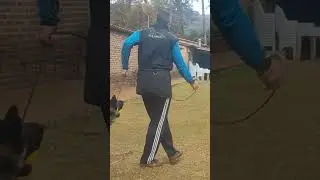 Esko do Sadonana - 11 meses, intensificando os latidos