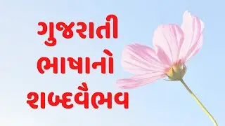 ગુજરાતી ભાષાનો શબ્દવૈભવ - ઉચ્ચારણ કે વર્ણનું સામ્ય ધરાવતા ભિન્નભિન્ન અર્થભેદવાળા શબ્દો