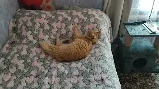 Дети заболевают..временная люстра.
