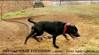 НЕОБЫЧНЫЙ ТРЕННИНГ...может кому пригодится....