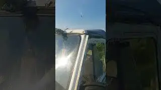 Пора Зверобоя и Иван чая
