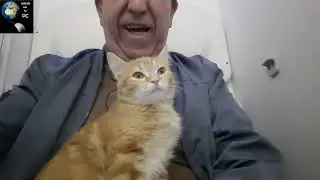 Viara con un gato en el avión