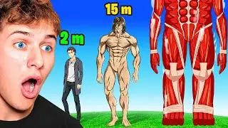 Attack On Titan SIZE Comparison (animation)