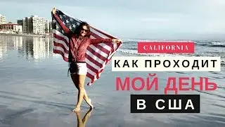 Один день из жизни в Сан-Диего, Калифорнии (+Морские котики Ла Хойи)