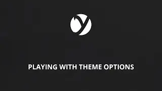 Playing with theme options