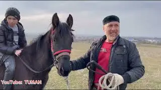 Обьездка Лахиба, Туман, Лошади, рацион .