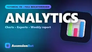 Real Discord server analytics — Analytics module FULL walkthrough