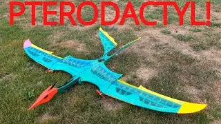 Super cool Pterodactyl is a flying Dino plane!