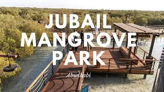 Jubail Mangrove Park | Jubail Island Mangrove Park Abudhabi| mangrove jubail island