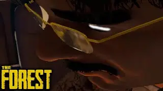 Forest VR is Fun!