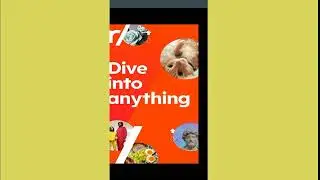 reddit app
