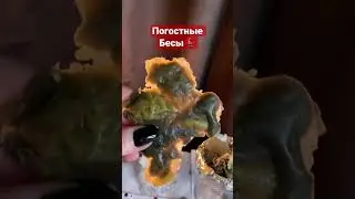 Погостные, кладбищенские бесы🕯️