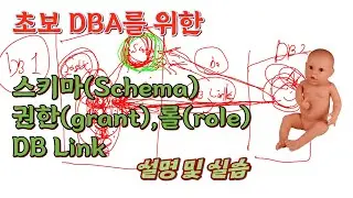 스키마, 권한, 롤, DB Link 설명