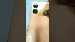 Vivo fack cameras 