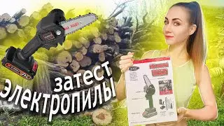 ПИЛА как ШУРУПОВЕРТ?! Реально ли вообще ей пилить? ЗАТЕСТ электропилы с САДОВОДА ЗА 1500 рублей 🤘