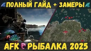 [BDO] 🎣 AFK - FISHING 2025 | TOP 5 PLACES | 1100 HOURS OF MEASUREMENTS | COMPLETE GUIDE | 