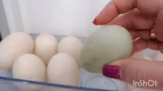 Селезень не топчет? Почему- вскрытие покажет. 