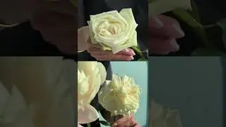 А вы ухаживаете за букетами? 🤔 