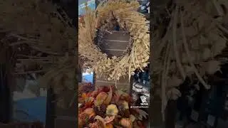 I am extremely happy for this #homedecor #kirklands #halloween #fallhomedecor #fall2023 #shopwithme