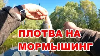 ПЛОТВА на МОРМЫШИНГ!