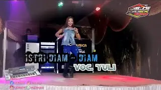 ISTRI DIAM DIAM _YULI || ALDY MUSICA