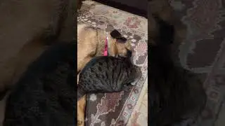 Hey, Wake Up I Want to Play. 