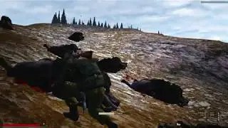 Stalker online Живодеры