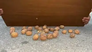 Katı basıncı 🙃