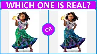 Guess the Encanto characters real cloth color | The Quiz Land #encanto #encantoquiz #guessencanto