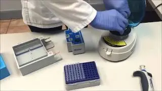 Accuris Electrophoresis Demo