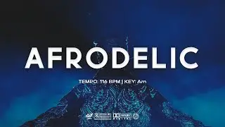 ''AFRODELIC'' Afrobeat Beat | Amapiano Psychedelic 🔥 Type | Instrumental