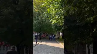 Хабаровск сегодня 26.09.2023 
