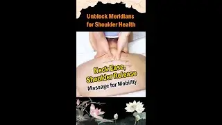 Unblock Meridians for Shoulder Health