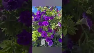 Предпоследний день лета ☀️🌤️