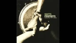 Family Nest™ - Watts Prophets® 1990's
