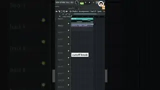 Do this for an LFO INTRO EFFECT!