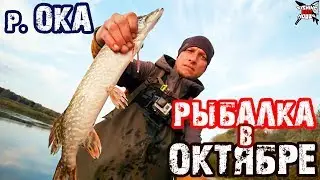ЖИВЕЦ или ОТВОДНОЙ ПОВОДОК? РЫБАЛКА В ОКТЯБРЕ. ЛОВЛЯ ЩУКИ и ОКУНЯ. РЫБАЛКА НА ОКЕ