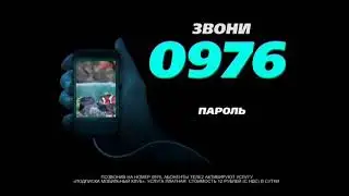 0976 Живой акватории (0+)