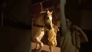 На лугу посутся (кто?) правельно кони